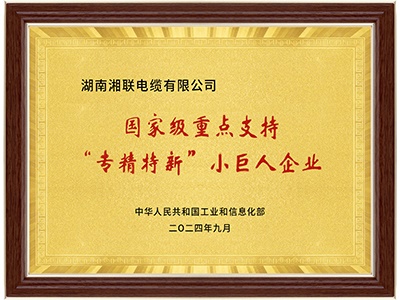 國家級(jí)專精特新“小巨人”企業(yè)